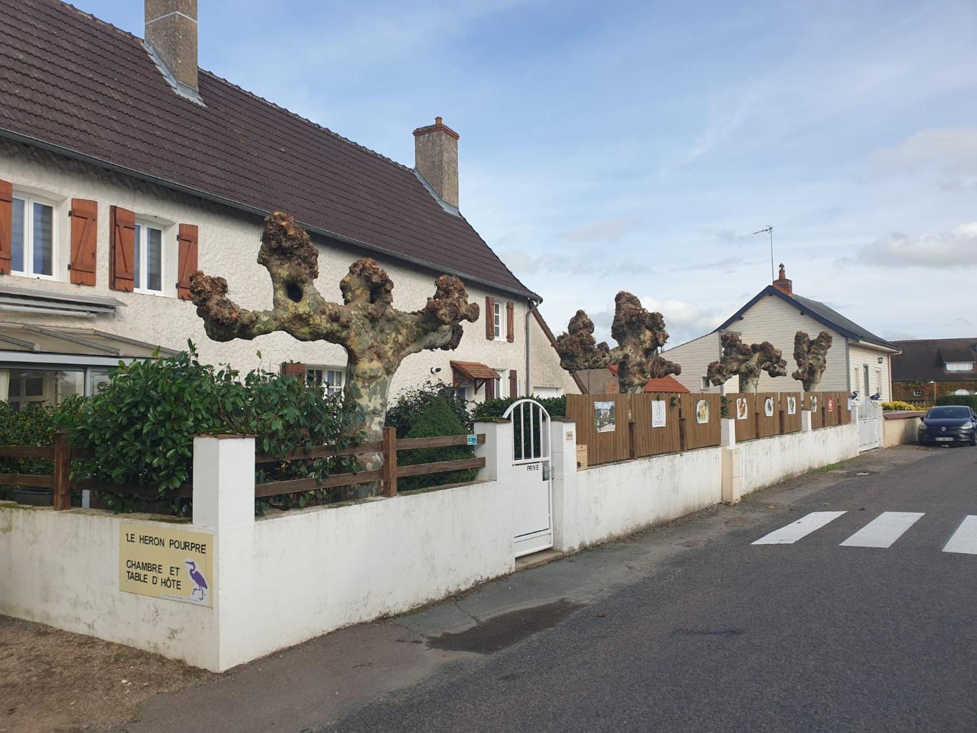 Le Heron Pourpre B&B Gastronomique Cronat Exterior foto